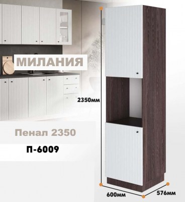 milaniia_p_6009_3