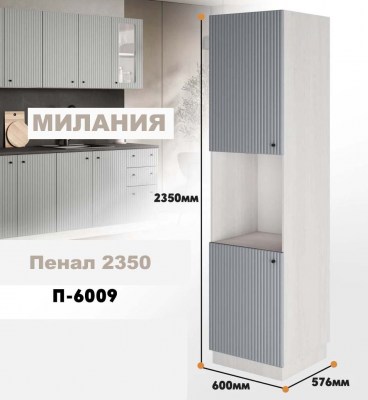 milaniia_p_6009_6