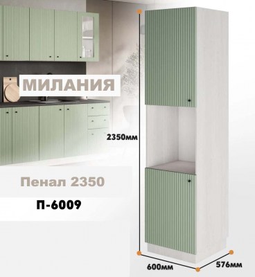 milaniia_p_6009_8
