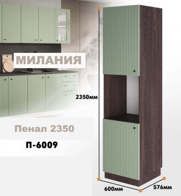milaniia_p_6009_9