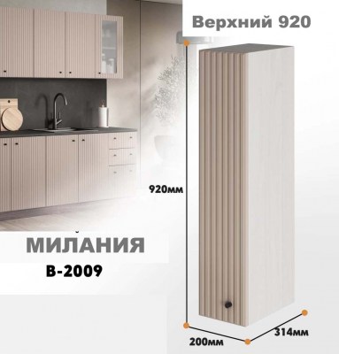 milaniia_v_2009_4