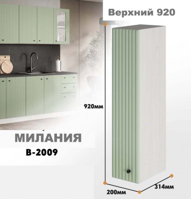 milaniia_v_2009_8