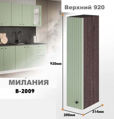 milaniia_v_2009_9