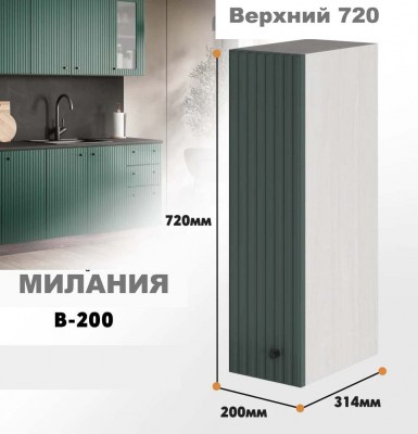 milaniia_v_200_10