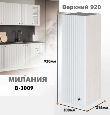 milaniia_v_3009_1