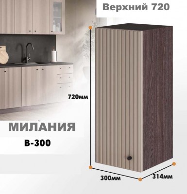 milaniia_v_300_4