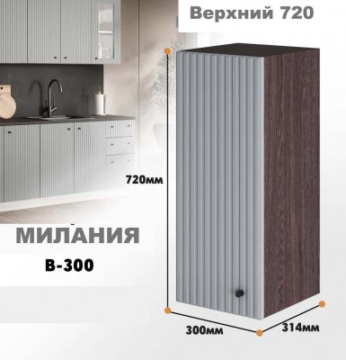 milaniia_v_300_6
