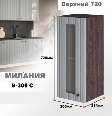 milaniia_v_300s_7