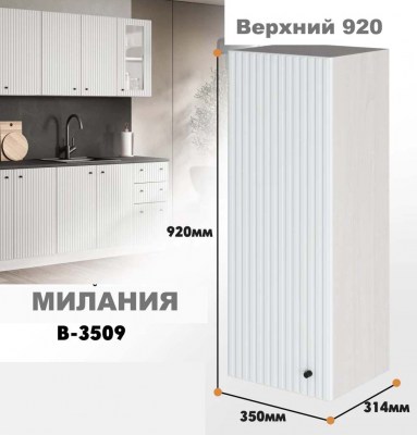 milaniia_v_3509_118