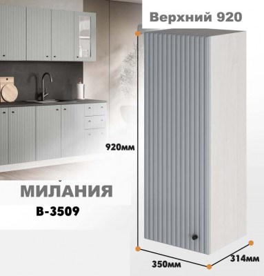 milaniia_v_3509_516