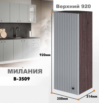 milaniia_v_3509_681