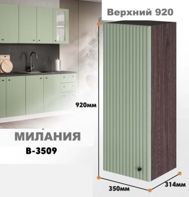 milaniia_v_3509_812