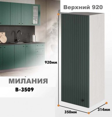 milaniia_v_3509_922
