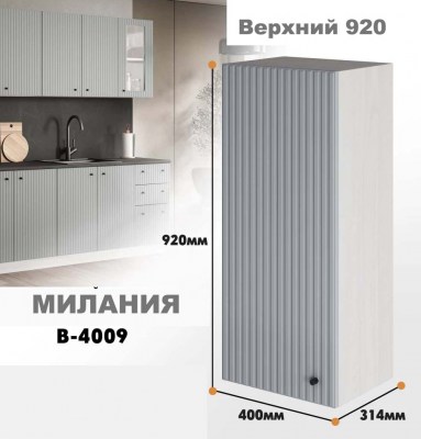 milaniia_v_4009_5