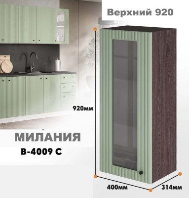 milaniia_v_4009s_9