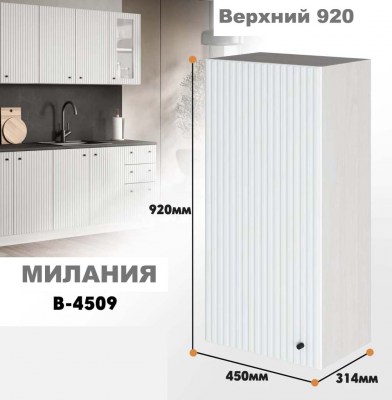 milaniia_v_4509_1