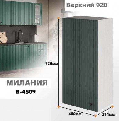 milaniia_v_4509_9
