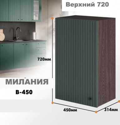 milaniia_v_450_11