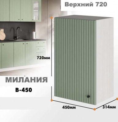 milaniia_v_450_8