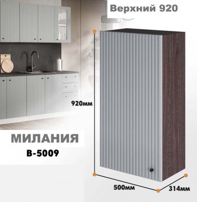 milaniia_v_5009_6