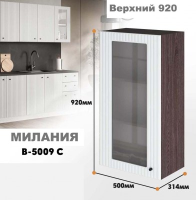 milaniia_v_5009c_2
