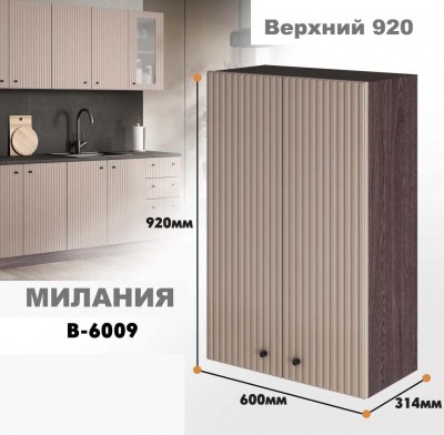 milaniia_v_6009_5