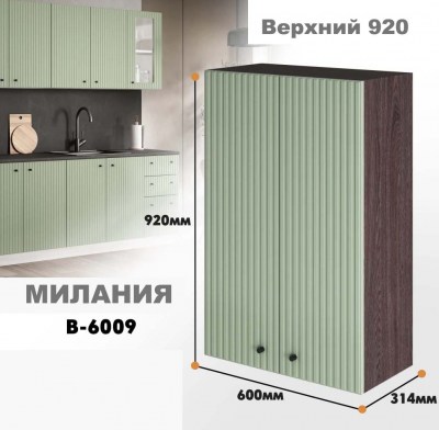 milaniia_v_6009_9