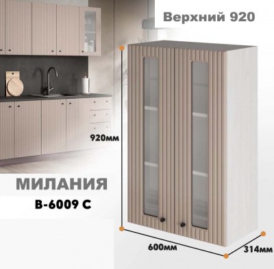milaniia_v_6009s_456