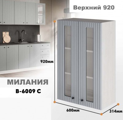 milaniia_v_6009s_670