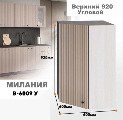 milaniia_v_6009u_4