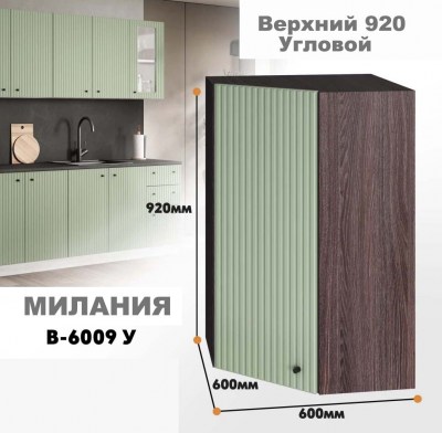 milaniia_v_6009u_9