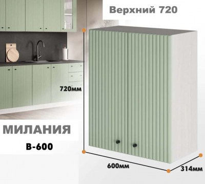 milaniia_v_600_8