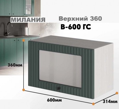 milaniia_v_600gs_10