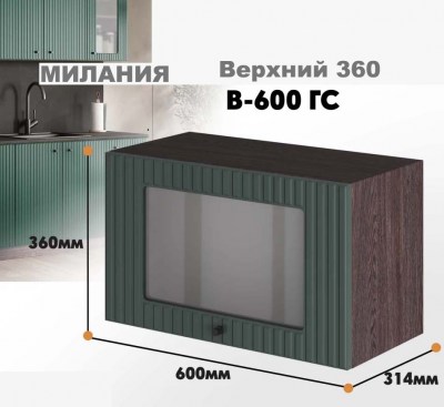 milaniia_v_600gs_11