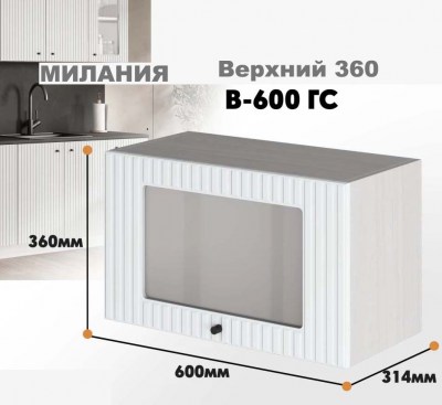 milaniia_v_600gs_1