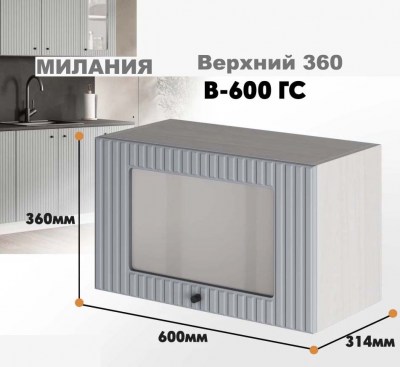 milaniia_v_600gs_6