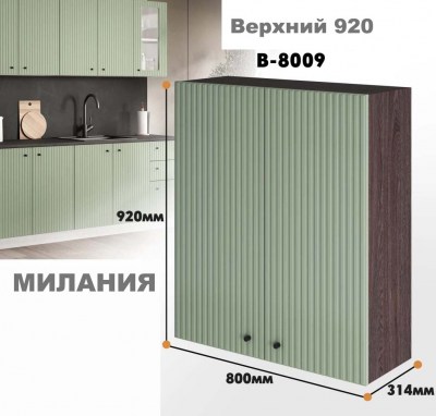 milaniia_v_8009_8