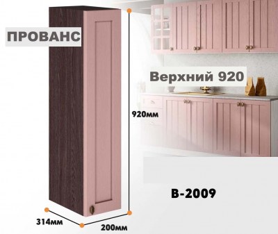 provans_v_2009_11
