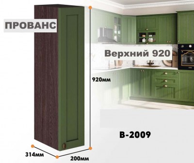 provans_v_2009_3