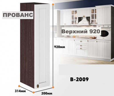 provans_v_2009_5