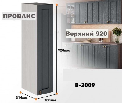 provans_v_2009_6