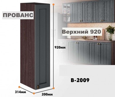 provans_v_2009_7