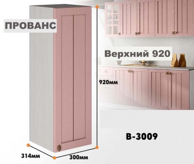 provans_v_3009_10