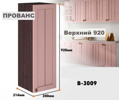 provans_v_3009_11
