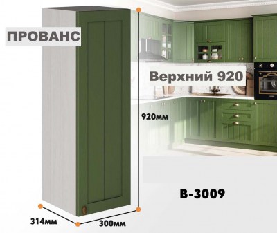 provans_v_3009_1