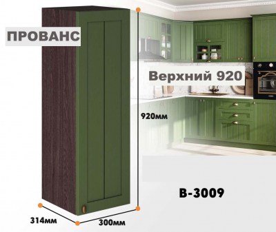 provans_v_3009_3