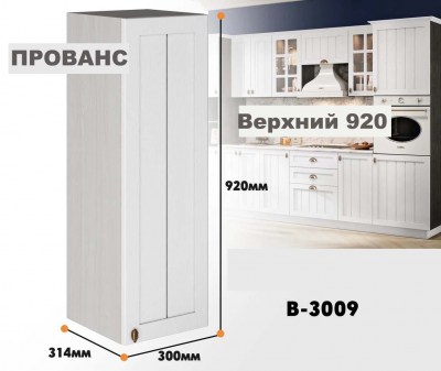 provans_v_3009_4