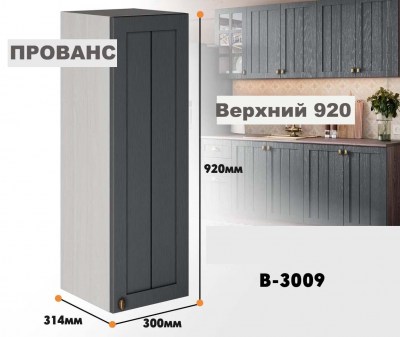 provans_v_3009_6