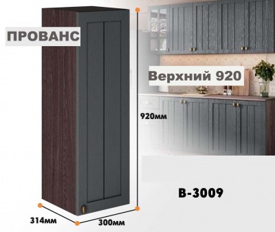 provans_v_3009_7