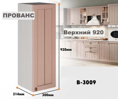provans_v_3009_8